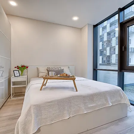 Business-class 1 X Free Parking X Self Check In 24x7 Apartment Vilnius