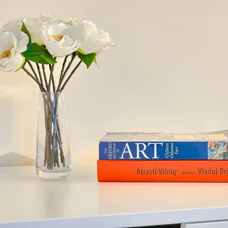 Business-class 1 X Free Parking X Self Check In 24x7 公寓 维尔纽斯