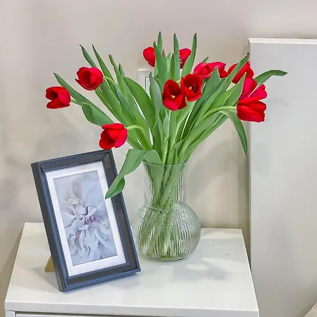 Business-class 1 X Free Parking X Self Check In 24x7 Apartment