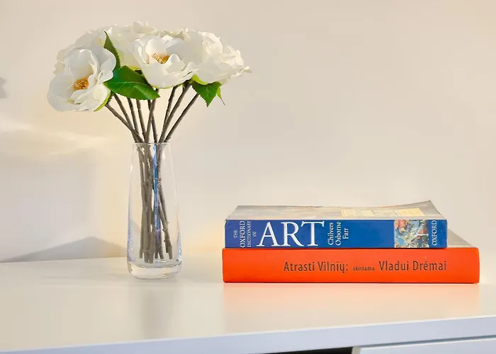 Business-class 1 X Free Parking X Self Check In 24x7 アパート ヴィリニュス